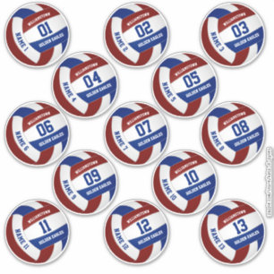 13 stuk spelers namen maroon blauw volleybal sticker