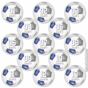 13 voetbalspelers set van blauwgrijze teamkleuren sticker