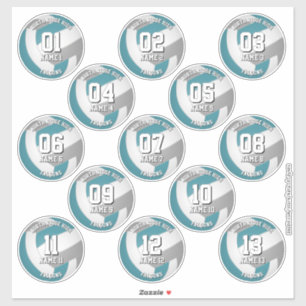 13 volleyballers blauwgroen grijs team kleuren sticker