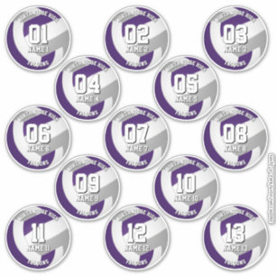 13 volleyballers paarse grijs team kleuren sticker