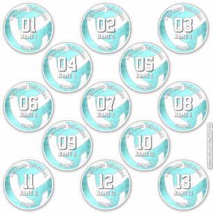 13 volleyballers turquoise sticker