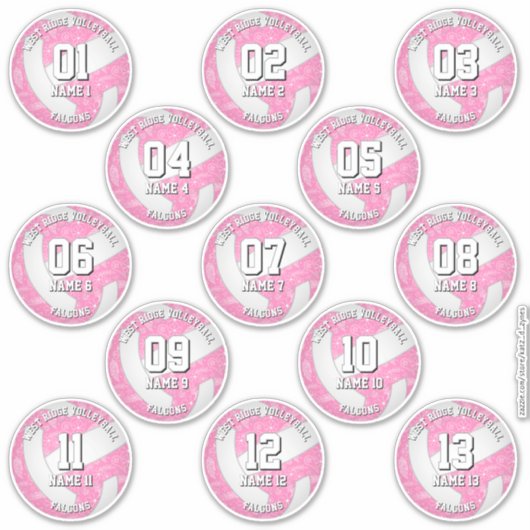 13 volleybalsters Boho Bloemenpaisleys Roze Sticker (Voorkant)