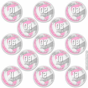 13 volleybalsters Boho Paisleys roze grijs Sticker