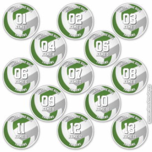 13 volleybalsters Groen Grijs Team kleuren Sticker