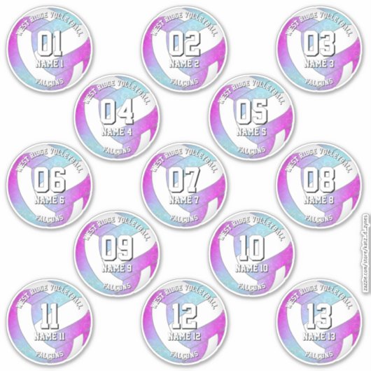 13 volleybalsters roze paarse blauw sticker (Voorkant)