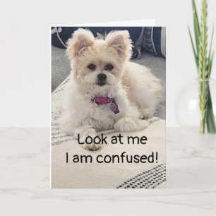 **13e ANNIVERSAIRE** SI CONFUS ! Carte