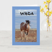 **13e BIRTHDAY** UIT COMEDIC HORSE Kaart (Gele Bloem)