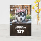 13th Birthday Cute and Funny Surprised Husky Card Kaart (Gele Bloem)