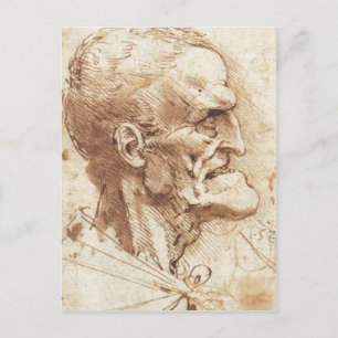 1487 1490 ) is een tekening van Leonardo da Vinci  Briefkaart