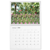 14,25-inch brede internationale Magic Eye-kalender Kalender (Jan 2026)