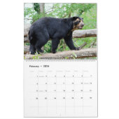 14 photos of mammals kalender (Feb 2026)