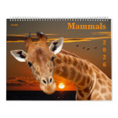 14 photos of mammals kalender (Hoes)
