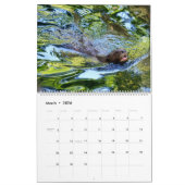 14 photos os animals and water kalender (Mar 2026)