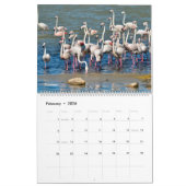 14 photos os animals and water kalender (Feb 2026)