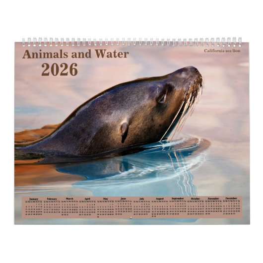 14 photos os animals and water kalender (Hoes)