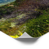 14" x 11", affiche du Colorado (Coin)