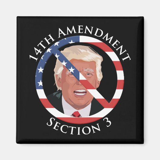 14e amendement Anti-Trump Magneet (Voorkant)