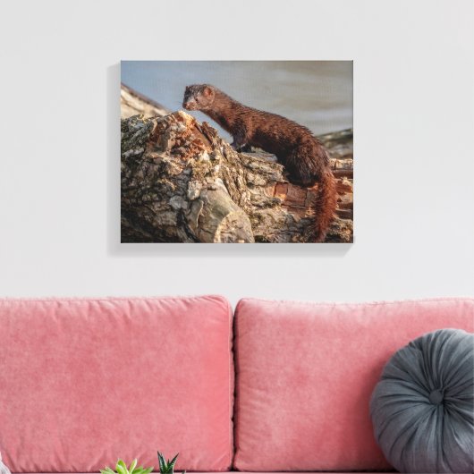 14x11 Amerikaanse gootsteen Canvas Afdruk (Insitu (Woonkamer))