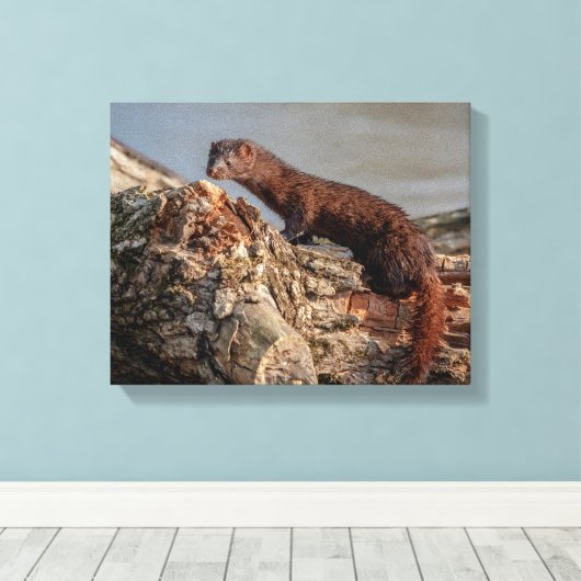 14x11 Amerikaanse gootsteen Canvas Afdruk (Insitu (Houten vloer))