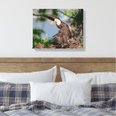 14x11 Bald Eagle die het nest verlaat Canvas Afdruk (Insitu (Slaapkamer))