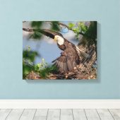 14x11 Bald Eagle die het nest verlaat Canvas Afdruk (Insitu (Houten vloer))