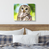 14x11 Barred Owl Canvas Afdruk (Insitu (Slaapkamer))
