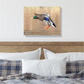 14x11 Mallard Duck in vlucht Canvas Afdruk (Insitu (Slaapkamer))