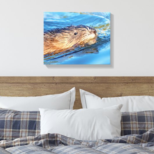14x11 Muskrat op Vassar Boerderijen Ecological Pre Canvas Afdruk (Insitu (Slaapkamer))