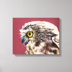 14x11-portret voor noordelijk zwoerd canvas afdruk