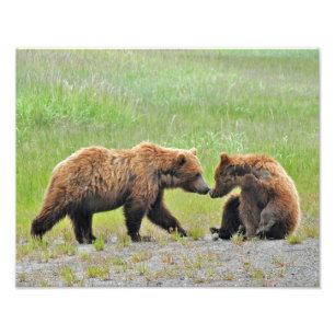 14x11 Satin foto van grizzly beer cubs Afdruk