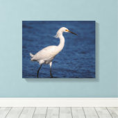 14x11 Snowy Egret op Noordstrand Canvas Afdruk (Insitu (Houten vloer))