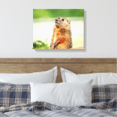 14x11 Young Groundhog Canvas Afdruk (Insitu (Slaapkamer))