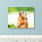 14x11 Young Groundhog Canvas Afdruk (Insitu (Houten vloer))