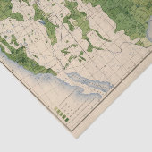 155 corn/acre tissuepapier (Detail)