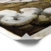 1570 Kaart van de wereld Poster (Hoek)