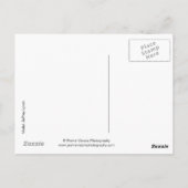 15746-RA Cowboy Briefkaart (Achterkant)