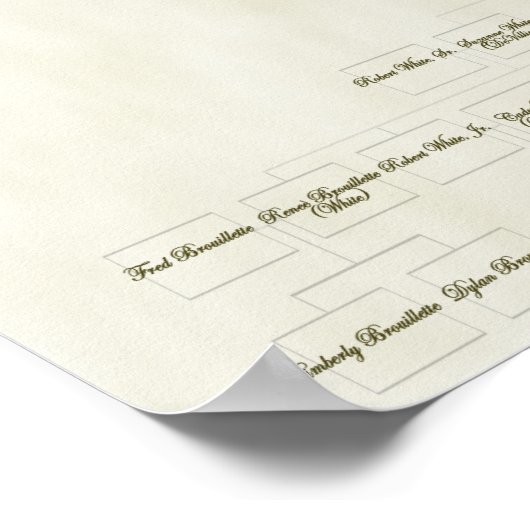 15 Generation Devillier-Noel Family Tree Poster (Hoek)