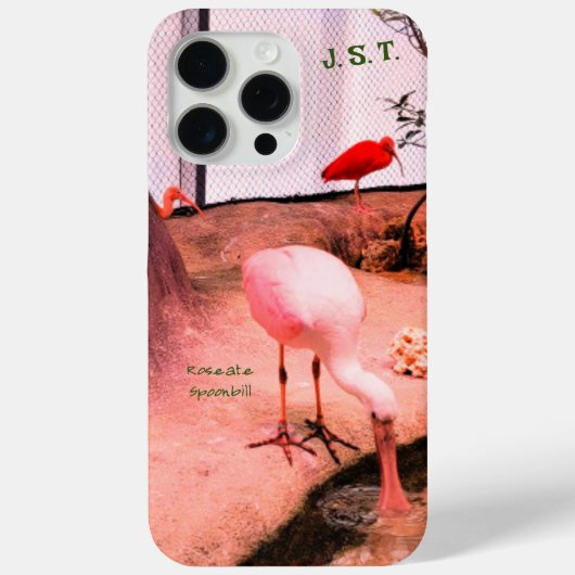 15 Pro Max Oiseaux d'animaux Spoonbill rose iPhone / coque ip (Verso)