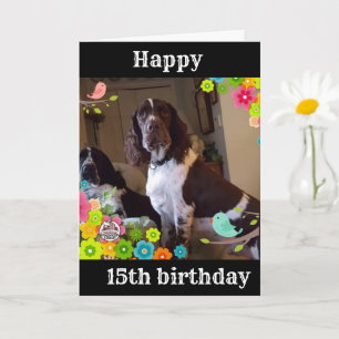 **15e ANNIVERSAIRE EST LA CARTE LA PLUS COOLÉE DE 