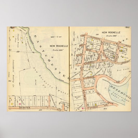 162163 Nieuwe Rochelle Poster (Voorkant)