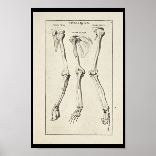1691 Kunstmatige anatomie Botten Kunst afdrukken Poster (Voorkant)