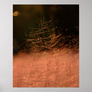16×20 Roze Muhly Jeju-do Zuid-Korea Foto Afdruk Poster