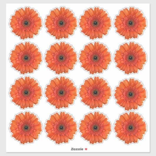 16 autocollants baiser de fleurs d'orange gerbera (Feuille)