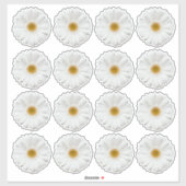16 autocollants en forme de fleur de gerbera blanc (Feuille)