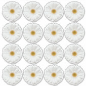 16 autocollants en forme de fleur de gerbera blanc (Devant)