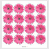 16 autocollants en forme de fleur de gerbera rose (Feuille)