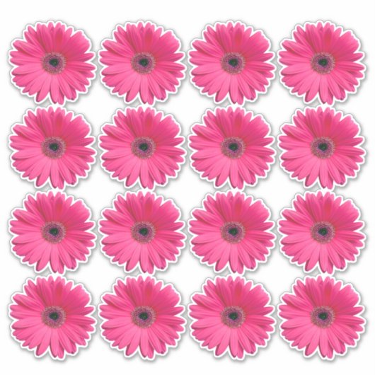 16 autocollants en forme de fleur de gerbera rose (Devant)