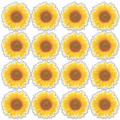 16 autocollants Kiss-Cut tournesol jaune orange (Devant)