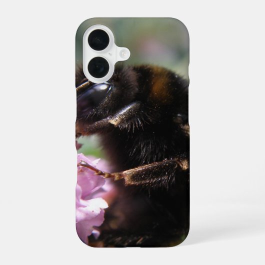 16 Busy Bumblebee et coque iphone de fleurs roses (Verso)
