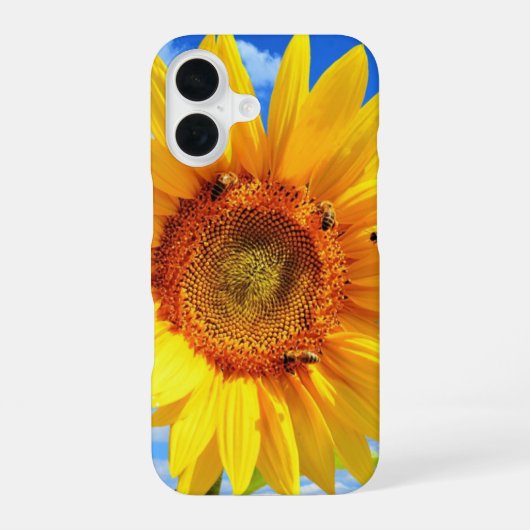 16 Coque iphone de tournesol d'été (Verso)